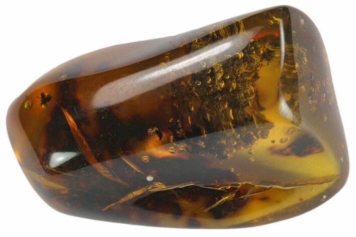 Polished Chiapas Amber ( g) - Mexico #114815